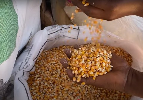 Farmer and storage solutions in Uganda